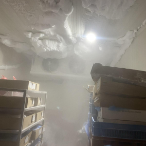 БАБХ затвори месопреработвателно предприятие в Монтана