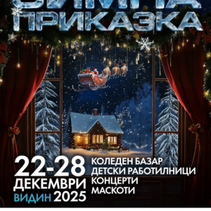 Коледна „Зимна приказка“ оживява във Видин