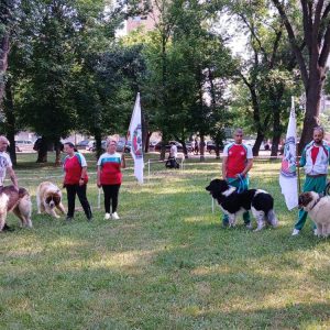 Международна киноложка изложба „За купата на кмета на община Видин”