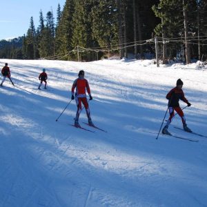 На колко години е добре да започнем да учим децата да карат ски