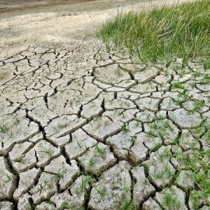 Рекордна суша е отчетена в началото на юни в Европа