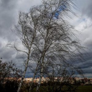 Утре ще духа бурен вятър и ще нахлува студен въздух